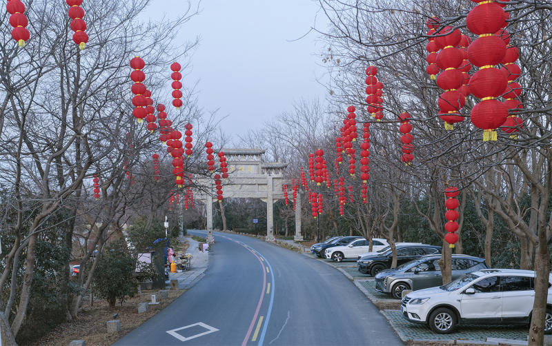 《红红火火迎新年》