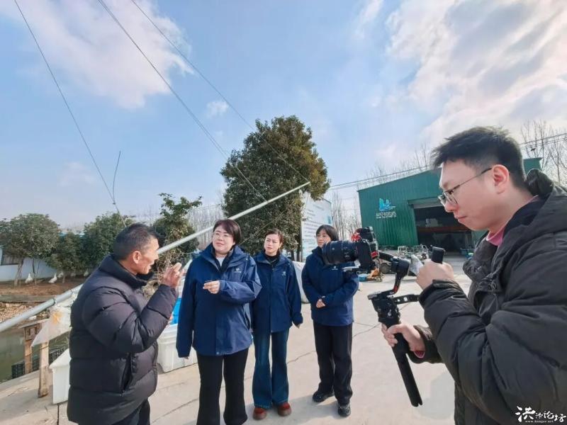 爱心助农！15万斤精品洪泽螃蟹滞销，盼您伸出援手！